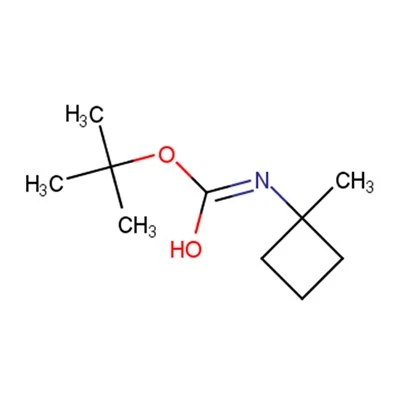 2-(tert-Butylamino)ethyl Methacrylate C10H19NO2