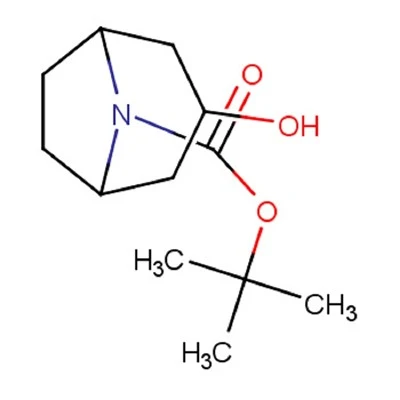 Tert-Butyl 3-hydroxy-8-azabicyclo[3.2.1]octane-8-carboxylate CAS 478837-18-2